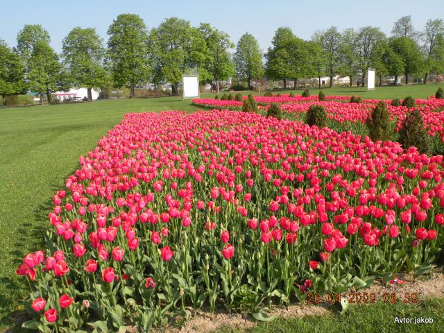 ARBORETUM - foto