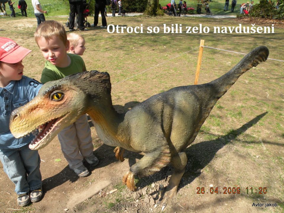 DINOZAVRI - foto povečava