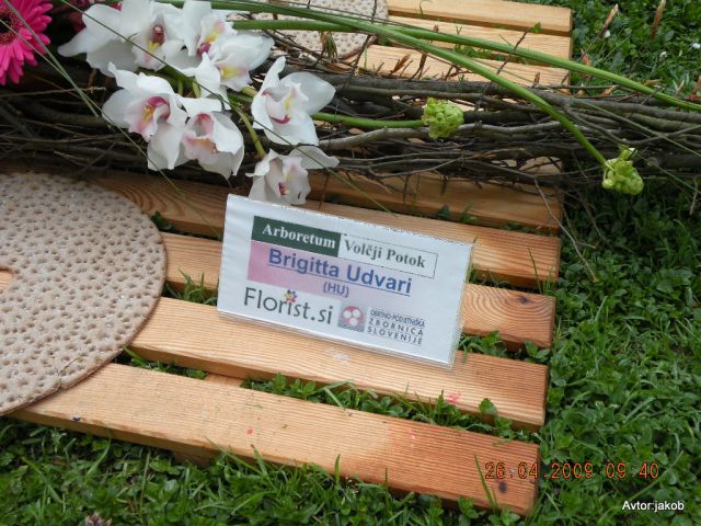 ARANŽMAJI - foto