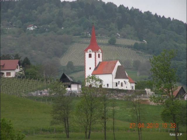 Botanični vrt - foto