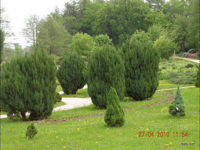 Botanični vrt - foto