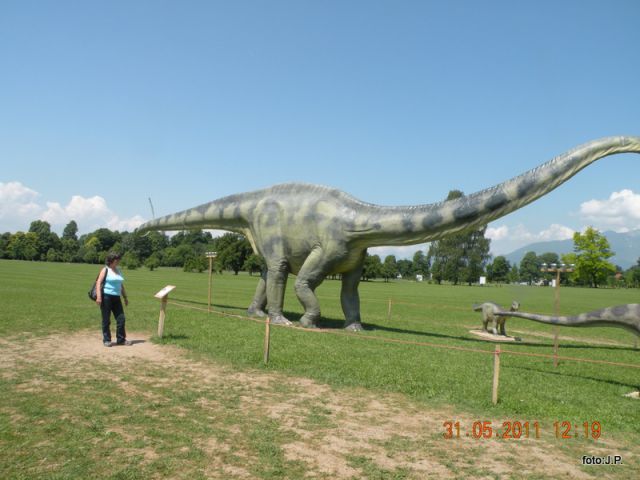 DINOZAURI - foto