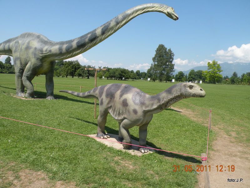 DINOZAURI - foto povečava