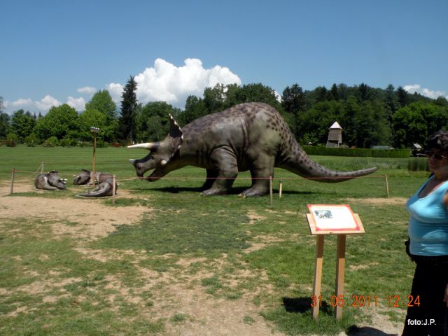 DINOZAURI - foto