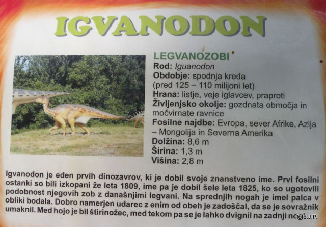 DINOZAURI - foto