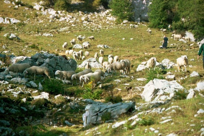 TRIGLAV-september-2002 - foto povečava