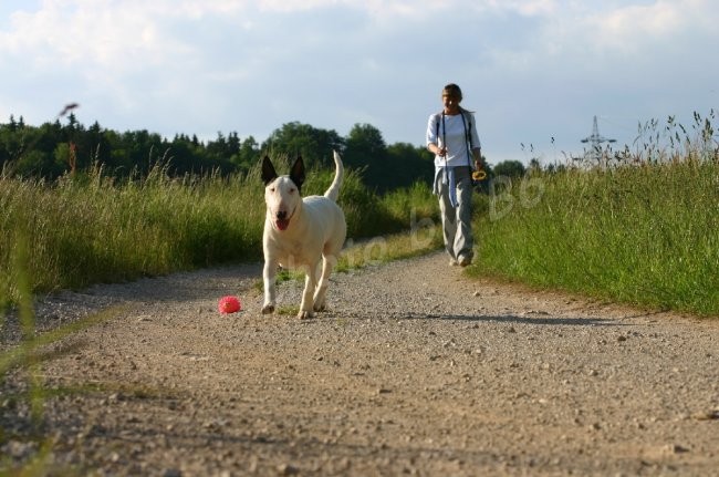 OMI - foto povečava