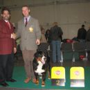 Sodnik iz Portorika, Roberto in Reisenshine - Poznan 2006 - R.CACIB - SVETOVNI VICE ŠAMPIO
