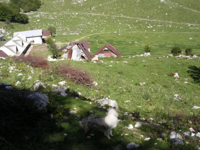 Planina Zaprikaj