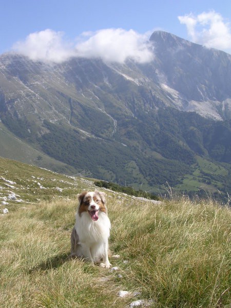 Krasji vrh - foto