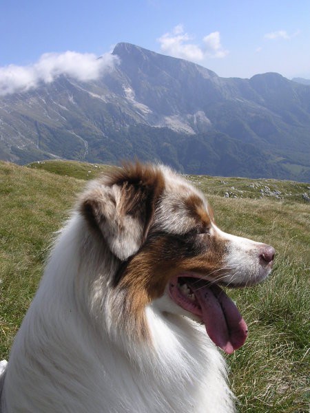 Krasji vrh - foto