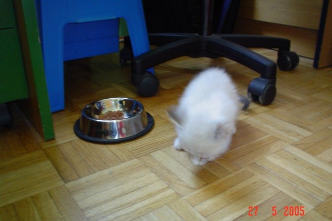 Berta - foto povečava