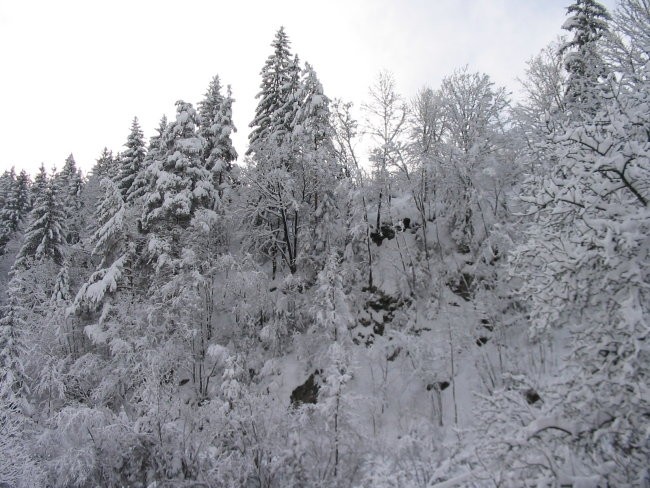 ZIMA 2006 - foto povečava