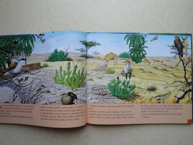 Notranjost knjige - npr. Afrika podnevi