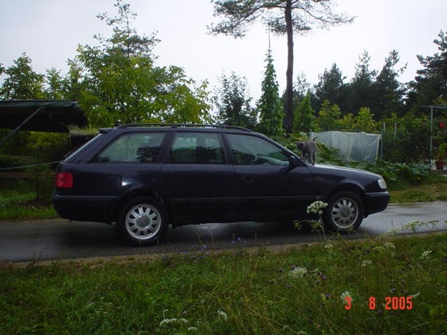 Audi 80Q - foto povečava