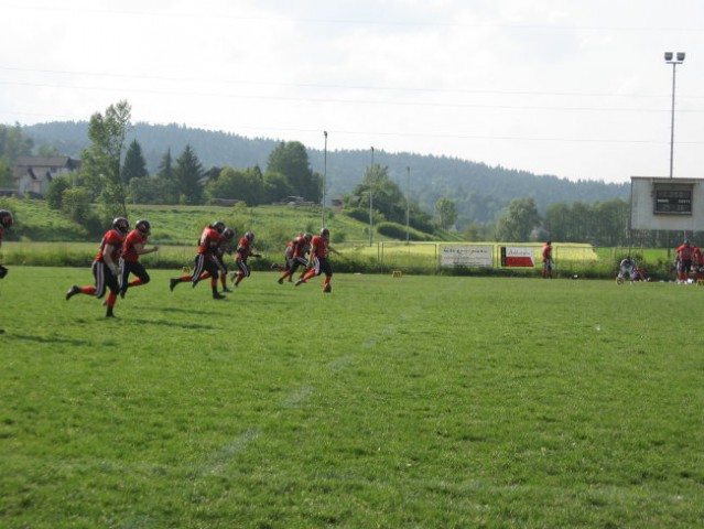 SH vs WOLVS - foto