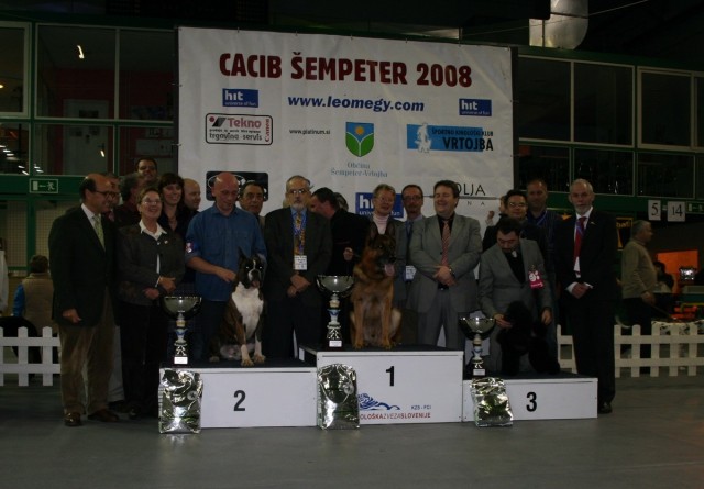 CACIB ŠEMPETER 2008 - foto
