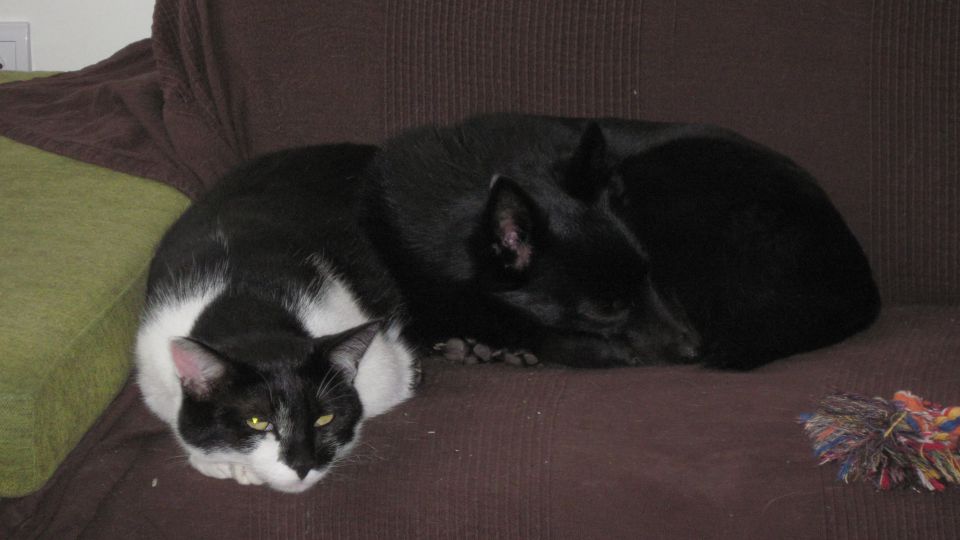 Zorro&Miki - foto povečava