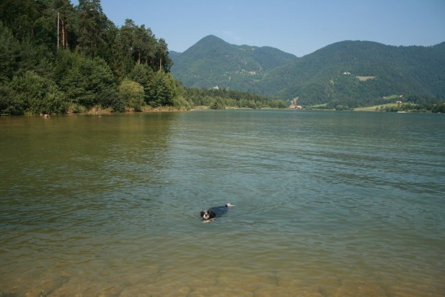 Žovneško jezero, avgust 2008