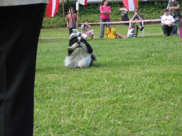 CAC Hrusica 2007 - foto povečava