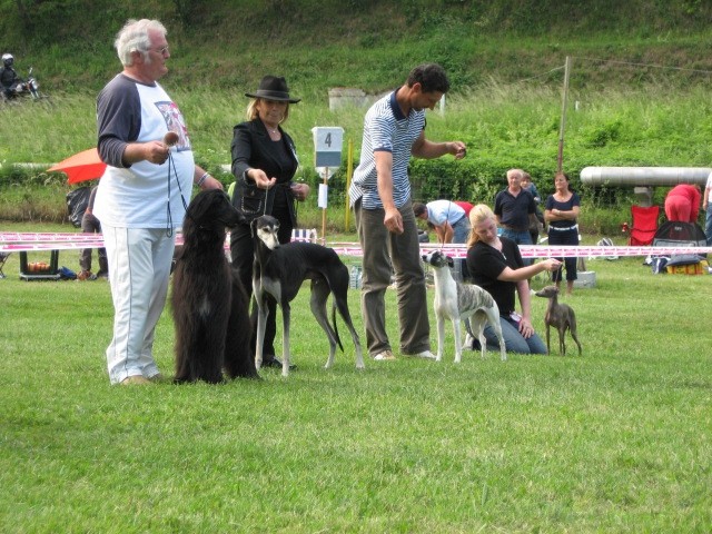 CAC Hrusica 2007 - foto povečava