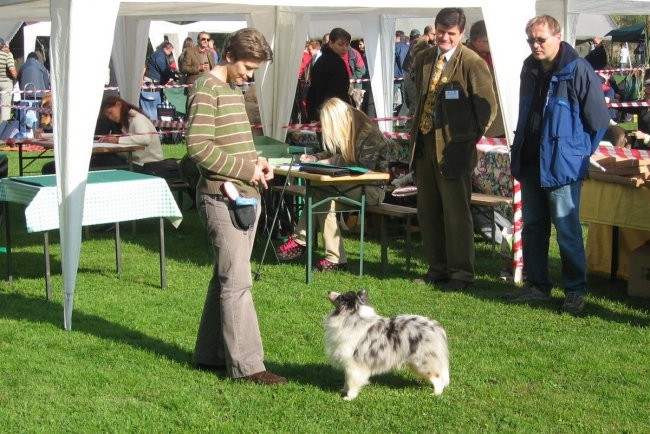 CAC Maribor 2007 - foto povečava