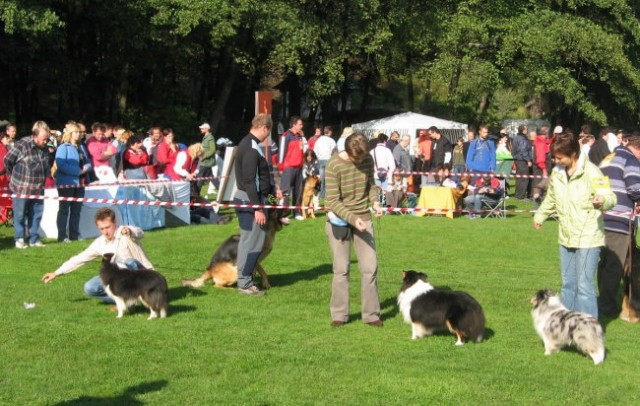 CAC Maribor 2007 - foto