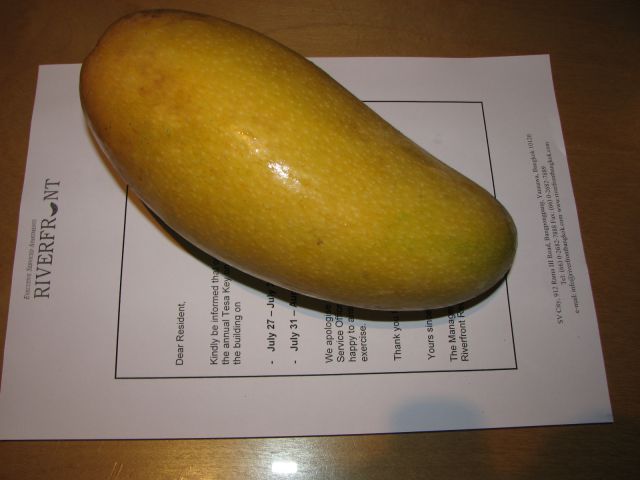 Mango, Thai size