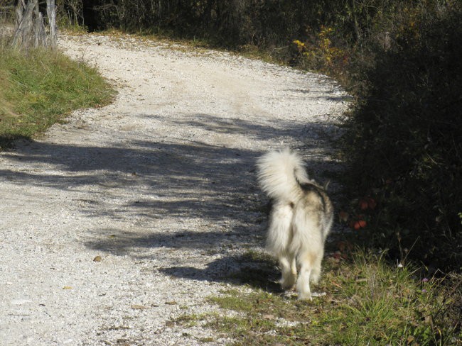 November 2007 - foto povečava