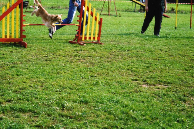 Tekma Agility - KD Naklo - 14.10.2006 - foto