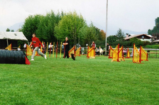 Tekma Agility - KD Naklo - 14.10.2006 - foto