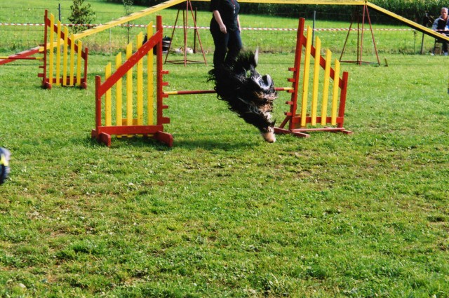 Tekma Agility - KD Naklo - 14.10.2006 - foto