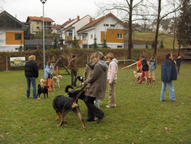 KD Ljubljana - B-Bh izpiti - 25.11.2006 - foto