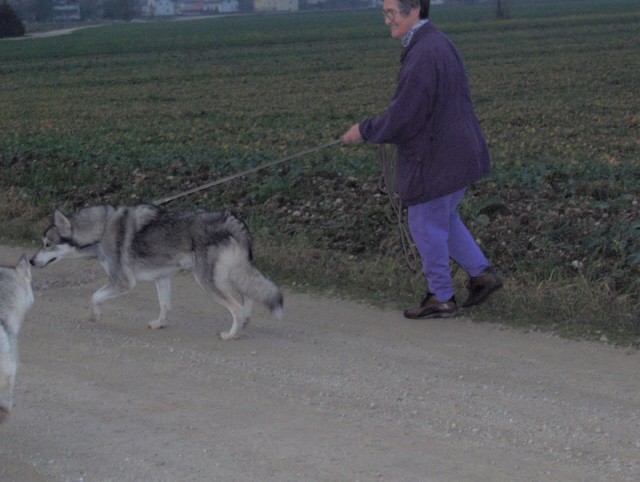 Mengeško polje - Aska, Bode, Alba, Kan in Lar - foto