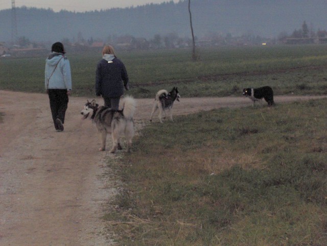 Mengeško polje - Aska, Bode, Alba, Kan in Lar - foto