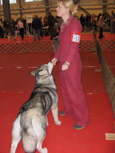 10. ZIMSKI PRVAK - CAC CELJE 2006  - foto povečava