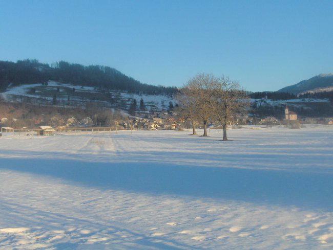 Aska - zima 2007 - foto povečava