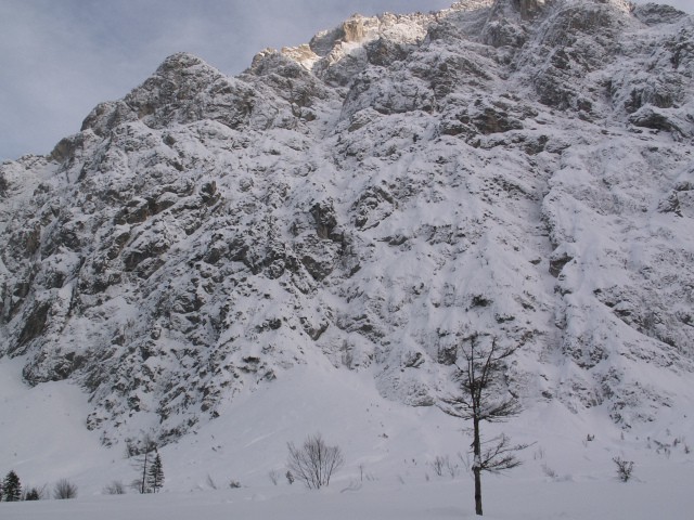 Tamar - 28.1.2007 - foto
