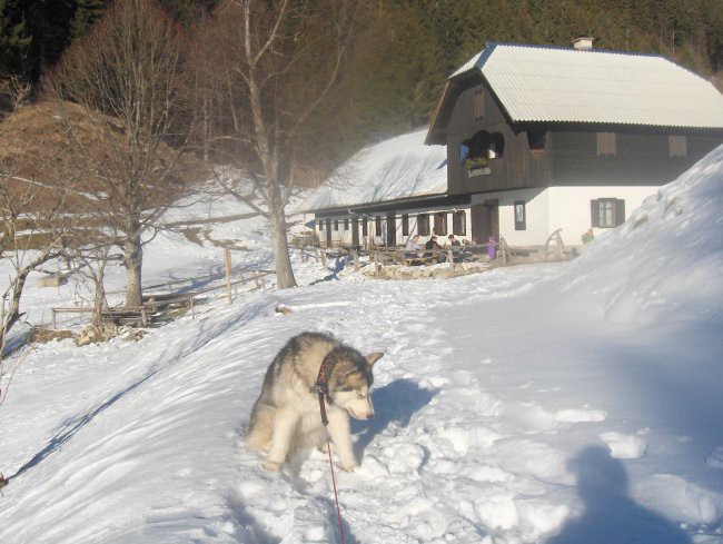 Poljška planina - 4.2.2007 - foto povečava