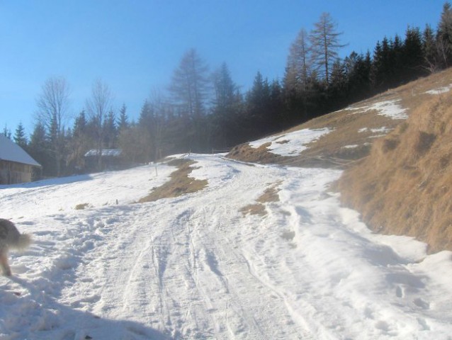 Poljška planina - 4.2.2007 - foto
