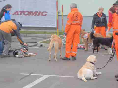 BTC 3.3.2007 - Predstavitev rally obedience,  - foto