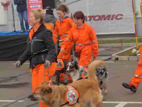 BTC 3.3.2007 - Predstavitev rally obedience,  - foto povečava