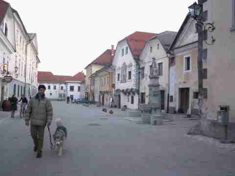 Aska - Staro mestno jedro Radovljice - 5.3.20 - foto povečava