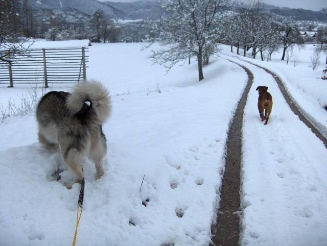 Aska marec 2007- razno - foto povečava