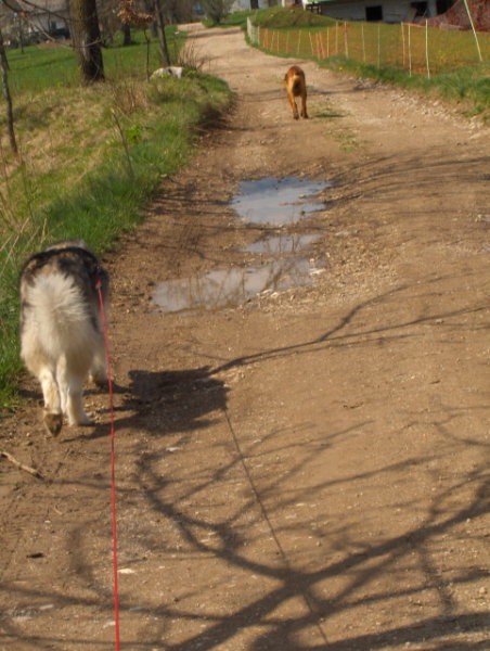 Aska april 2007 - foto povečava