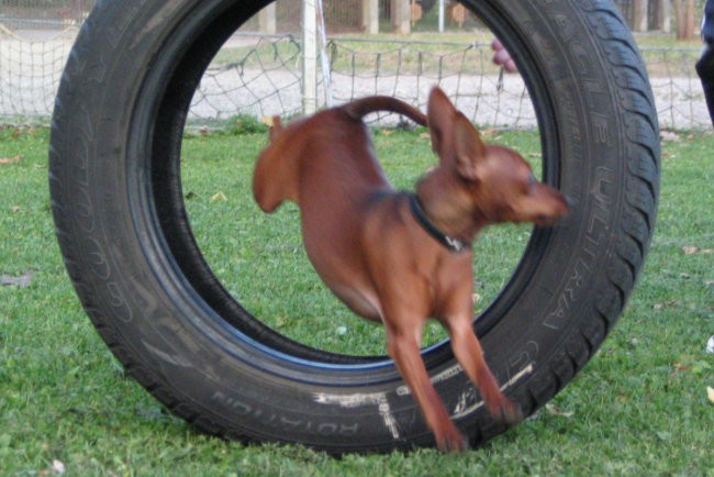 uuf pa je šlo skozi!