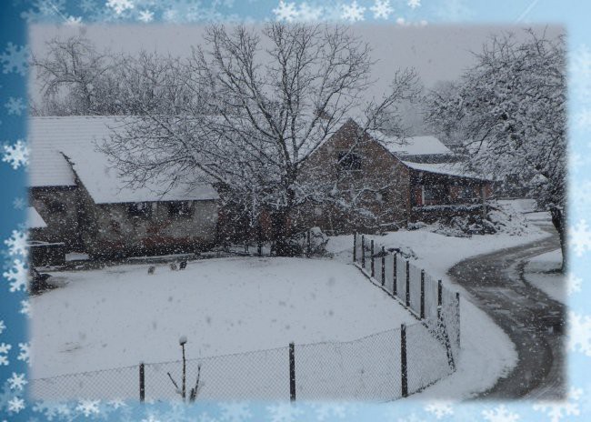 Vse voščilnice so unikatne, ter ročno izdelane in vse imajo priloženo primerno kuverto. 
