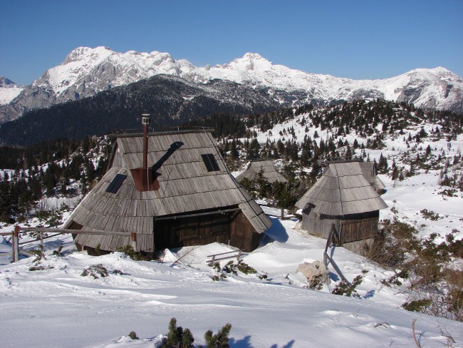 Velika planina 16.2.2008 - foto povečava