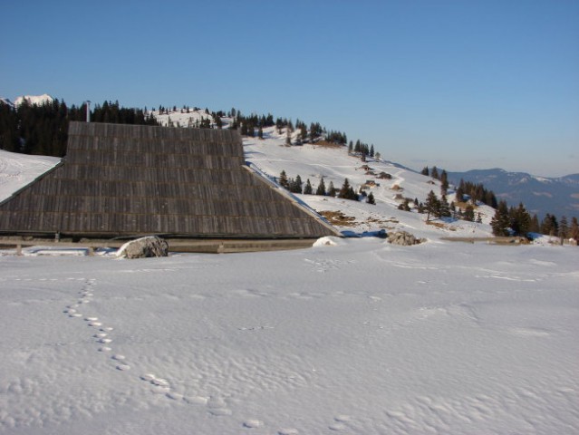 Velika planina 16.2.2008 - foto