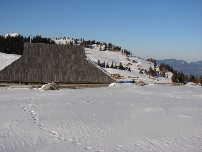 Velika planina 16.2.2008 - foto povečava